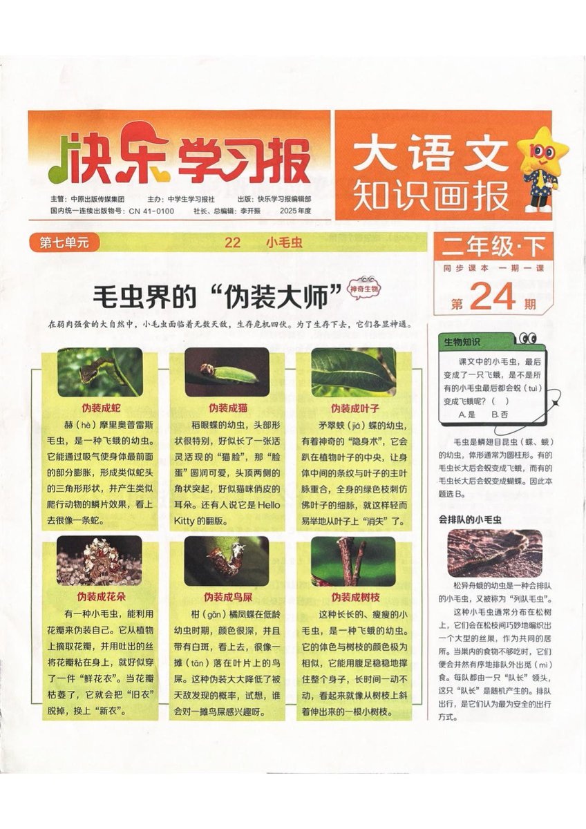 1-6年级《大语文知识画报》（2025年1-26期） 第 3 张