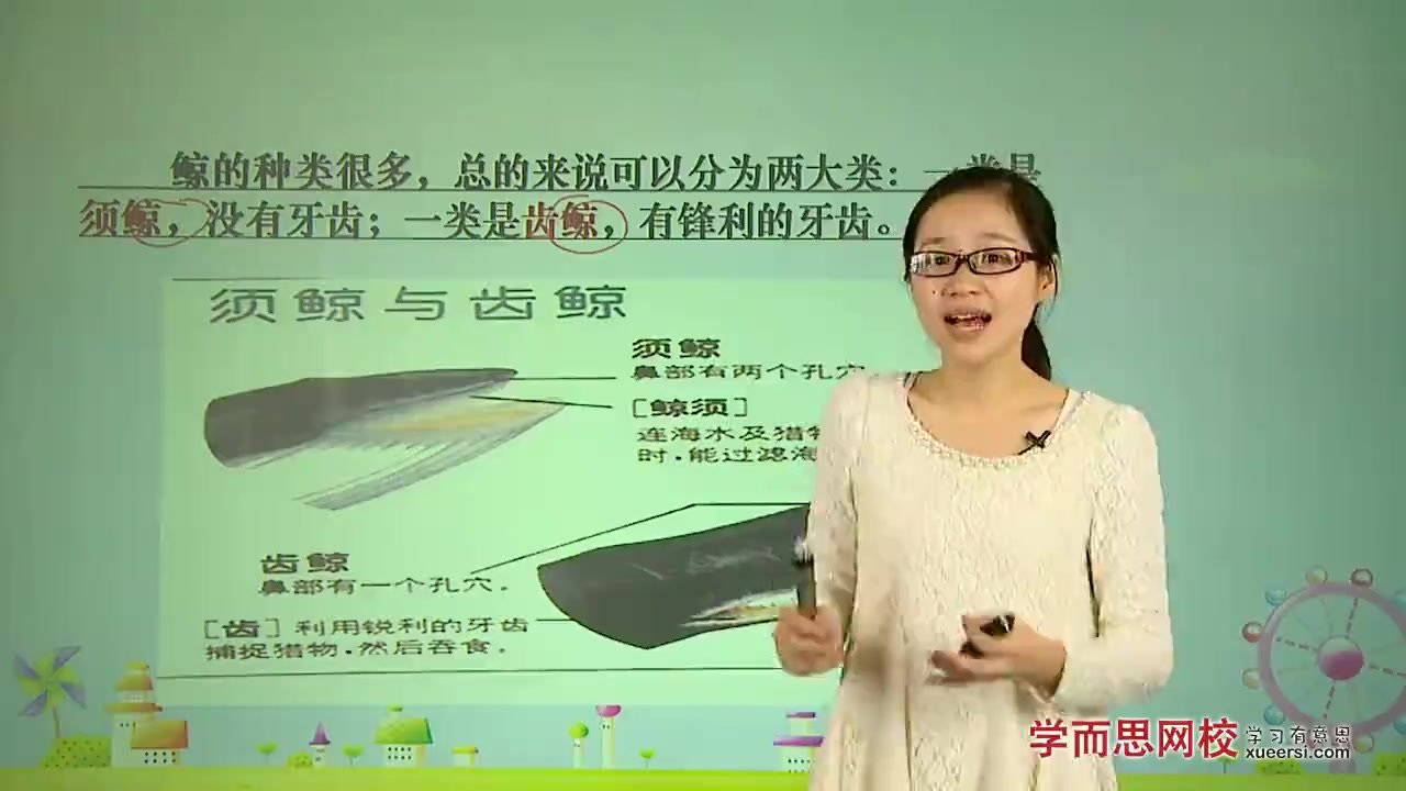 小学语文阅读理解（2-6年级）特级教师培训视频+资料+训练 第 3 张