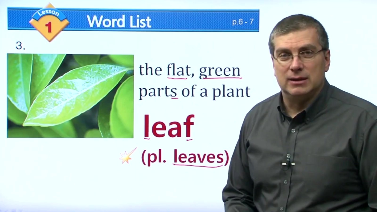 美国网红外教Brian Stuart视频课精选，含高频词 Sight Words100,Reading for Vocabulary、社会、科学(教材PDF,video) 第 2 张